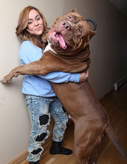 Oni su mali, ali su veliki, odnosno, hoću reći, nisu više mali, ali su dosta veliki da ne budu mali.