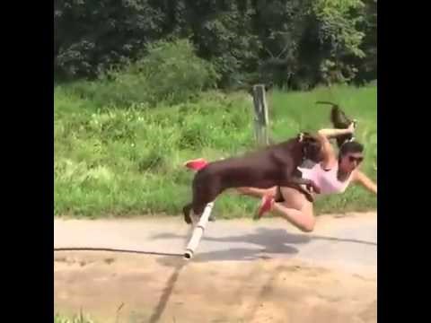 kada stvari krenu drugačije od planiranog..video :))))