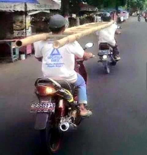 ovaj idiotizam ledi krv u žilama..