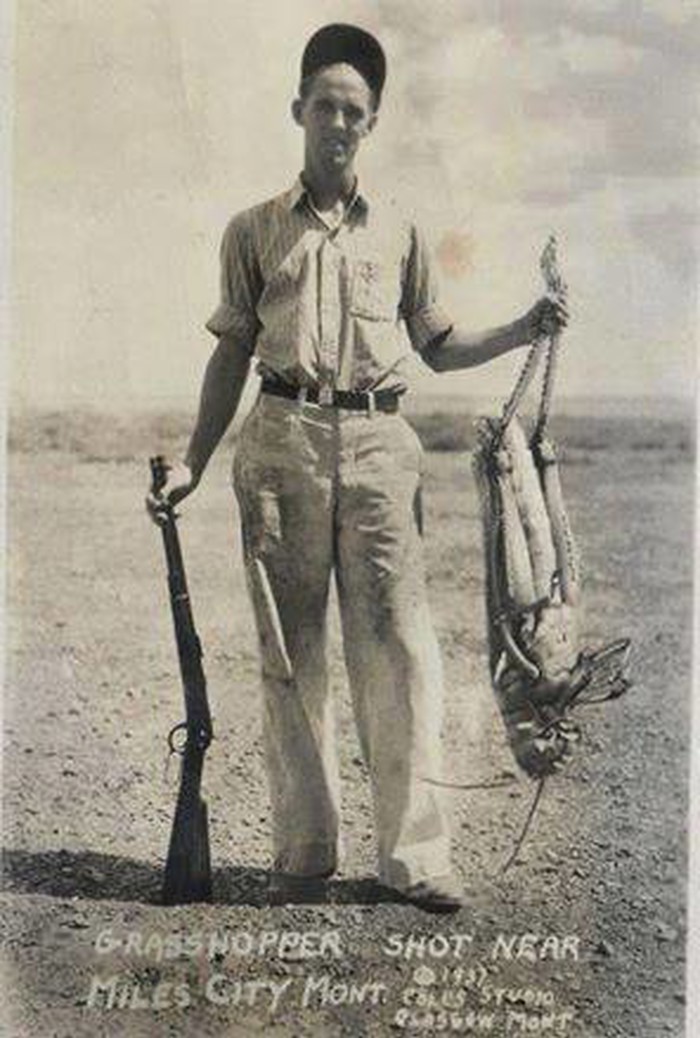 skakavac ustrijeljen 1937..