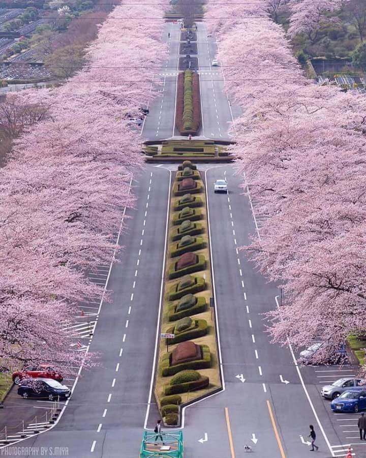 vrhunska tehnologija i duh entuzijazma ..Mađarska, Hortobágy..