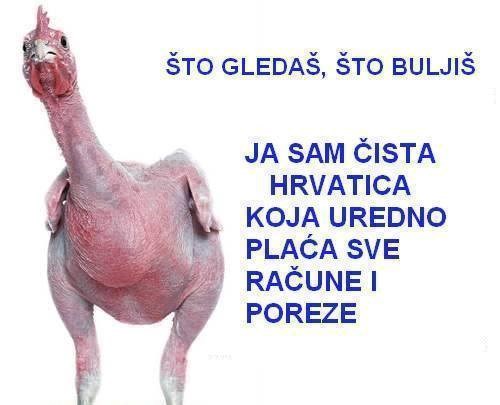 ponos do gole kože..