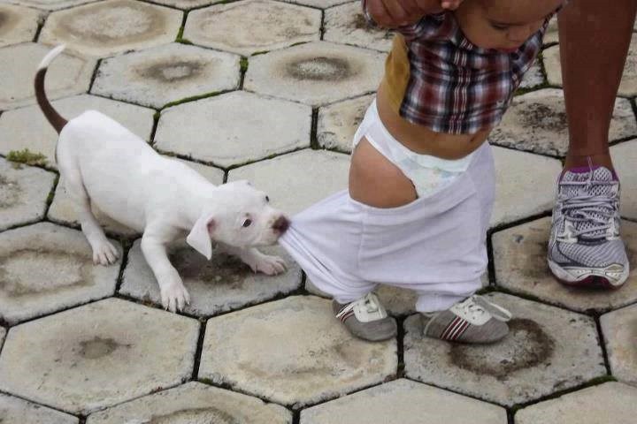 vrati se..strogo je zabranjeno napuštanje igrališta..:))