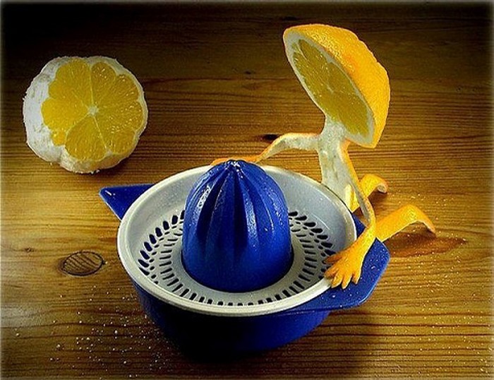 limun samoubojica..