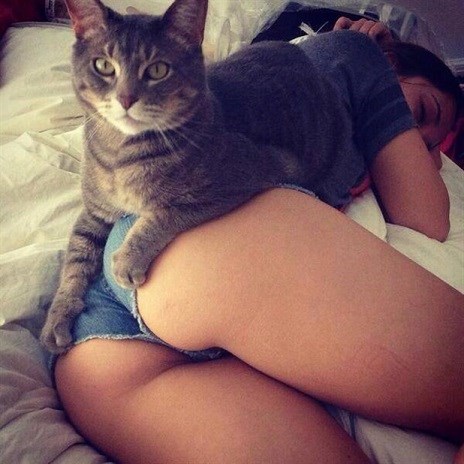 maca umjesto dekice..