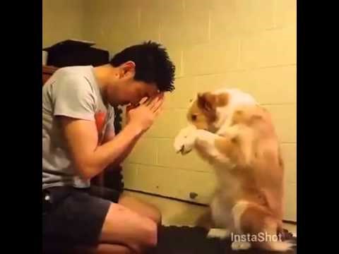 međusobno poštivanje..:))) video