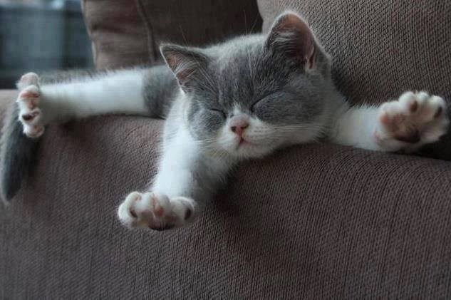 Dobro jutro, svijete..