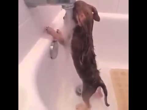 ne pitaj, ne traži, ne pričaj..imao sam naporan dan..video