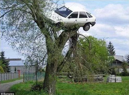 krenuo rođacima u Njemačku i zapeo na grani..