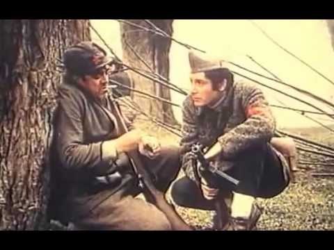 U GORI RASTE ZELEN BOR 