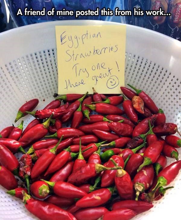 egipatske jagode..