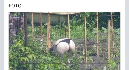 što se bijeli u gori zelenoj..:))