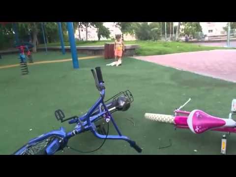 nema šale sa mačkama..video