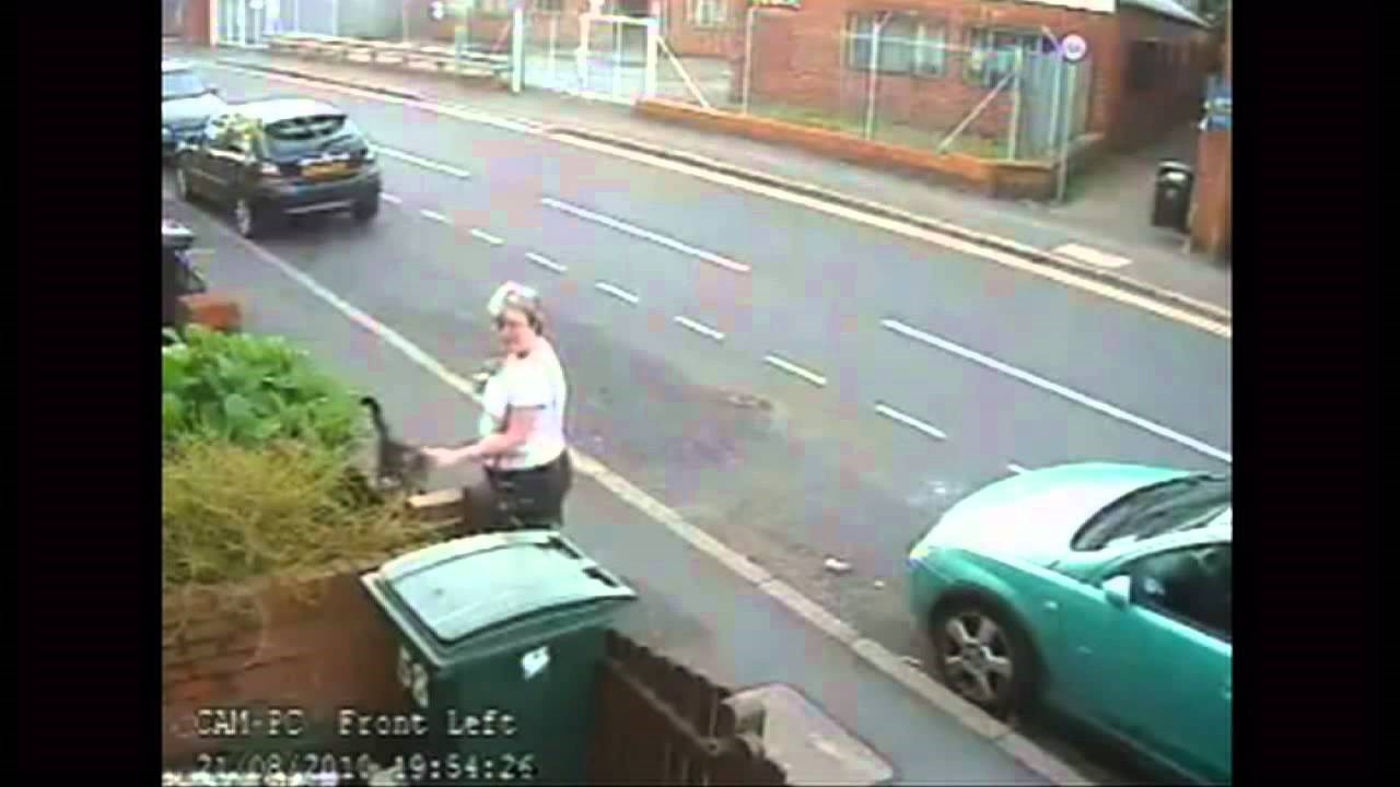 prestrašno..video..