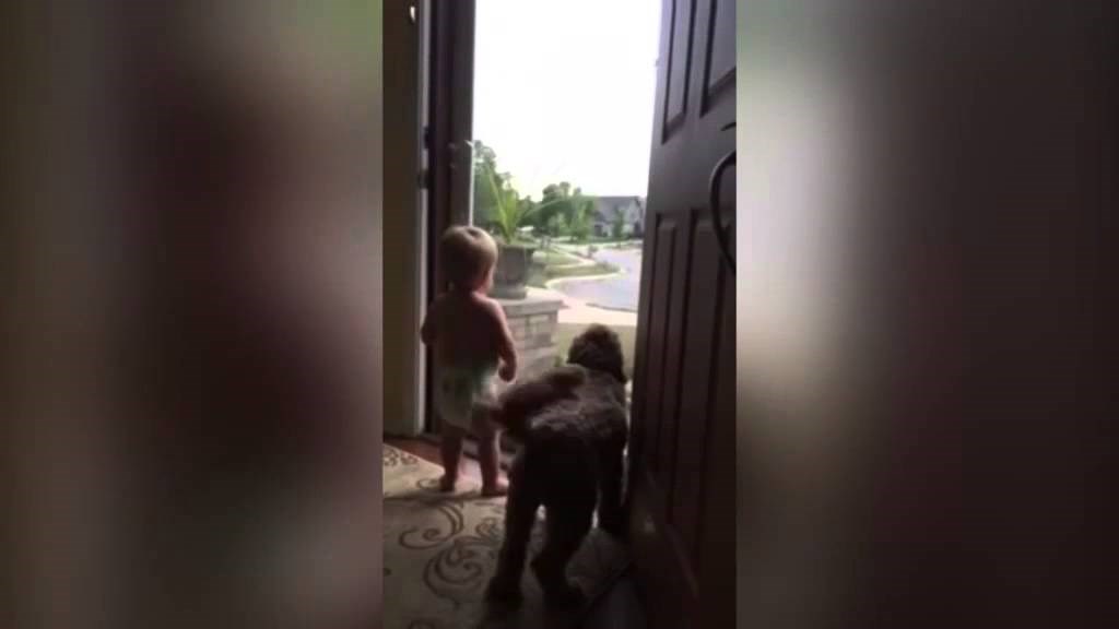 erupcija osjećaja kada se tata vraća sa posla..video