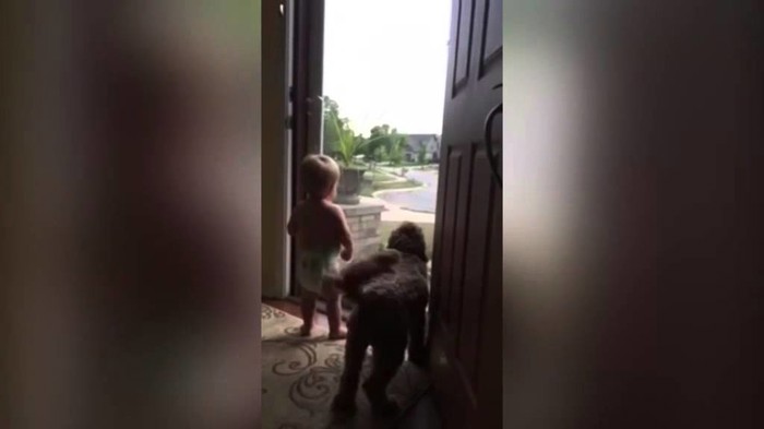 erupcija osjećaja kada se tata vraća sa posla..video