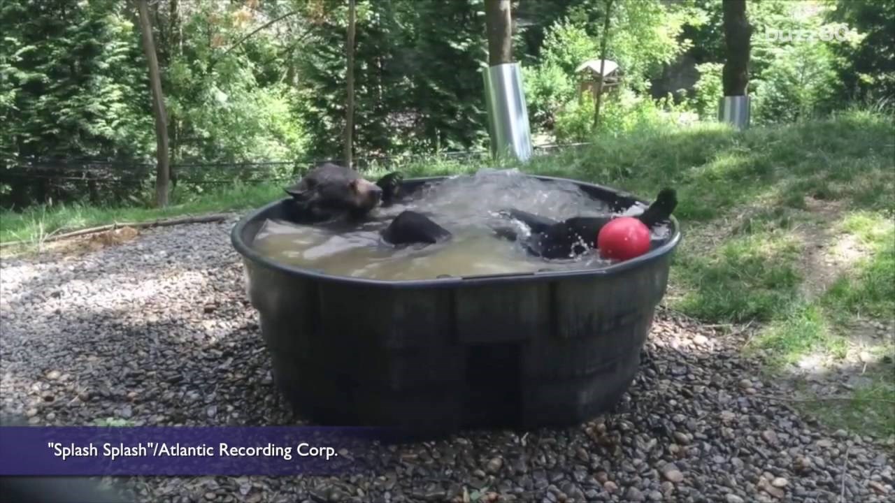 vruće ??  video :)))