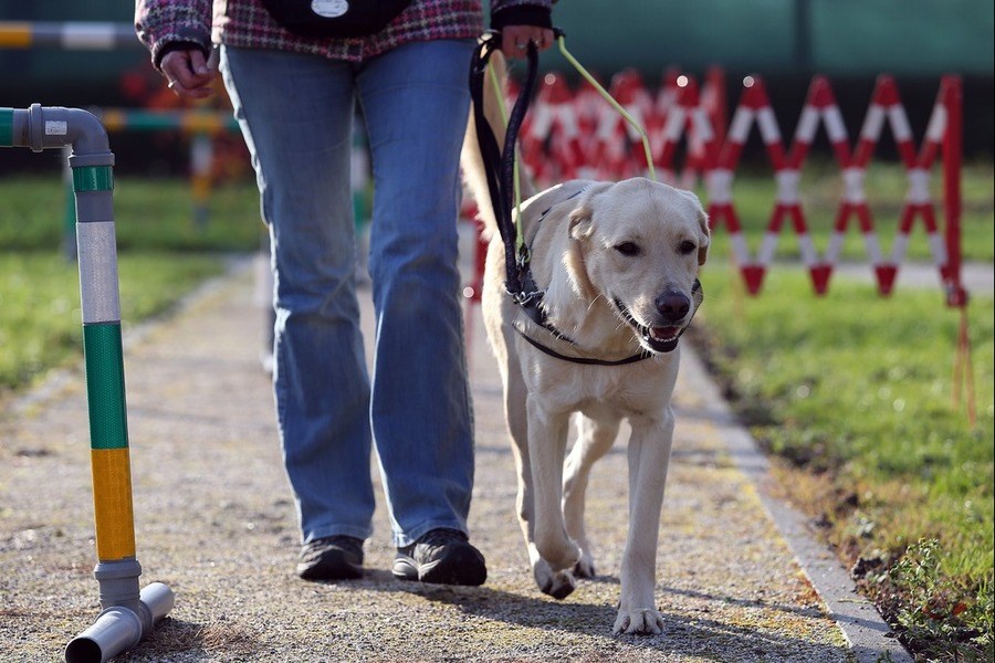 koliko biste Vi kaznili ovog idiota ???