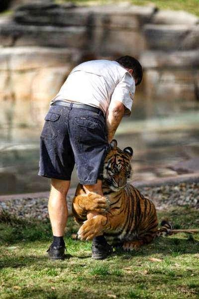 a daj, ostani još malo..