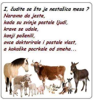 čudim se čudim..:)))