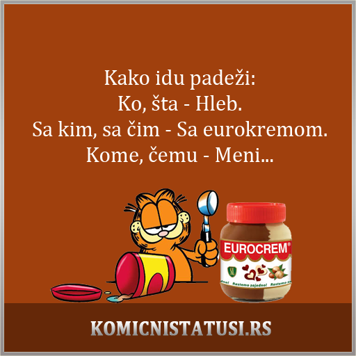 padeži i posvojne zamjenice..