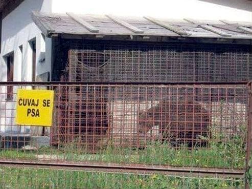 opasan je..brz..a zna se i prerušavati..