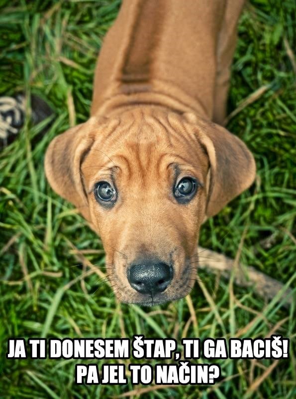 heh, koja tuga u okicama..:((