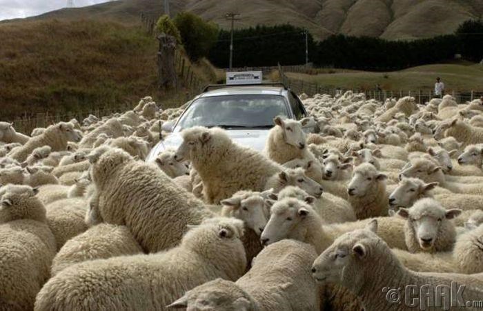 kad negdje kreneš na dan izbora..