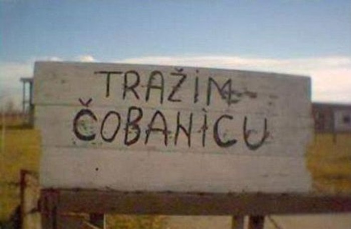 šifra: Ovca..