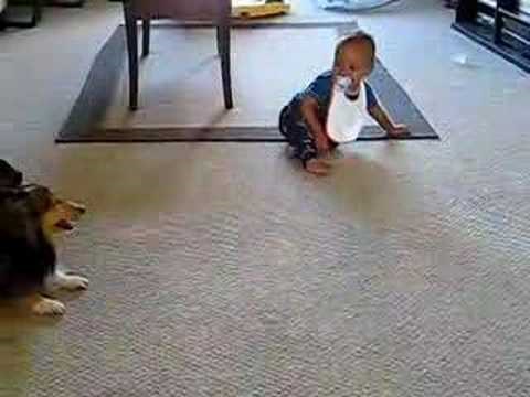 ovo nikoga ne može ostaviti ravnodušnim..video