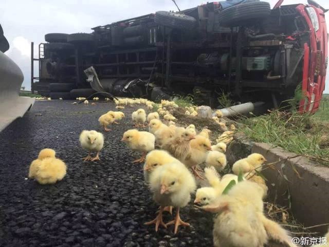 bijeg iz Alcatraza..??