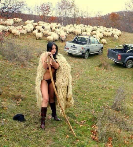 ni čobanice nisu što su nekad bile..:))