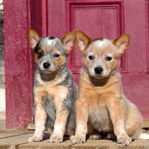 i med je gorak pored njih..:))