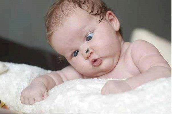 muho makni se, nos ću ti razbiti, da znaš..