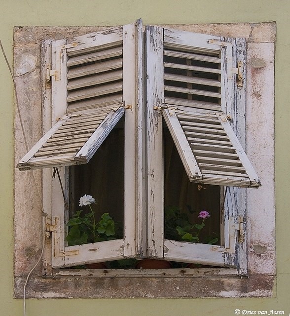 uvijek postoji put..