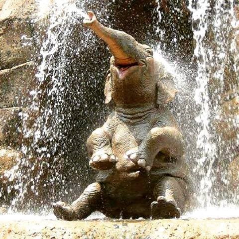 ono, kad znaš uživati u životu..