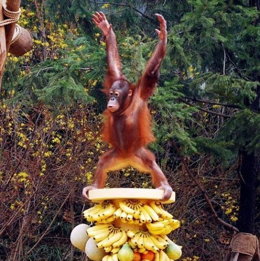 kralj svoga carstva..:))