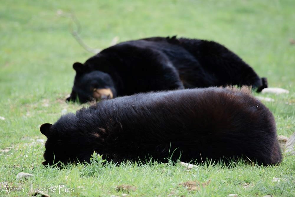 nedjeljno poslije podne..:))