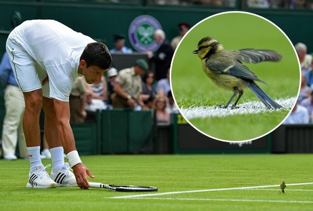 Svaka čast, majstore..