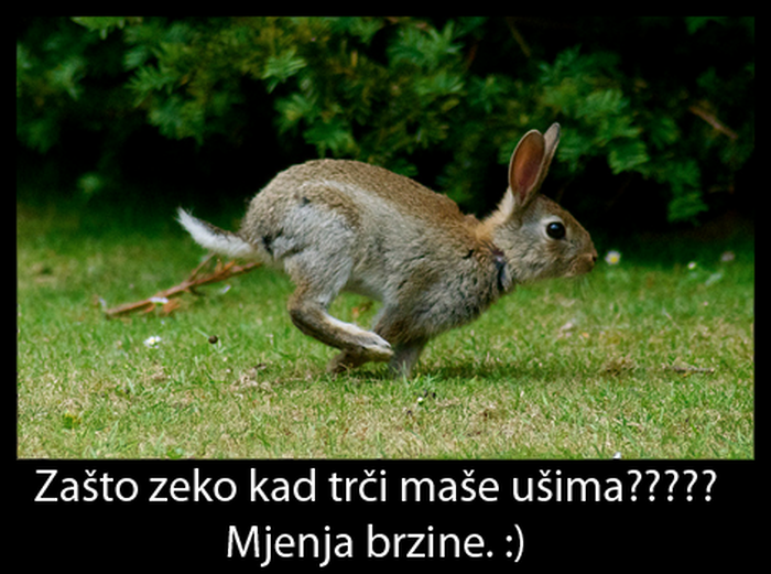 priznajem..kada sam vidio sliku, pomislio sam na nešto drugo....sram me bilo..:(((((