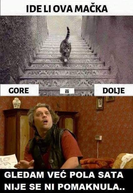 maca sim, maca tam..