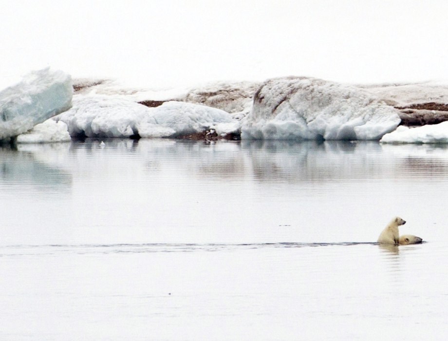 svi klinci se vole nositi na tatinim ramenima..