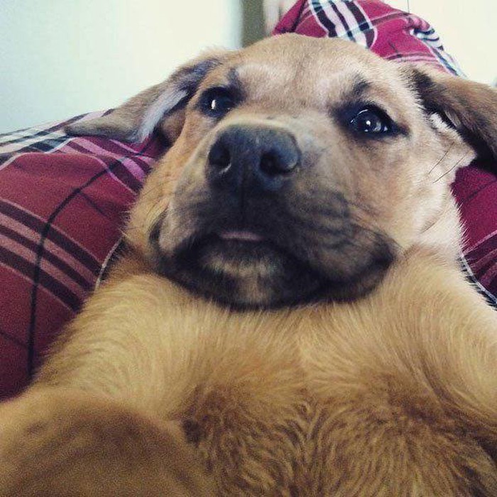 selfie..