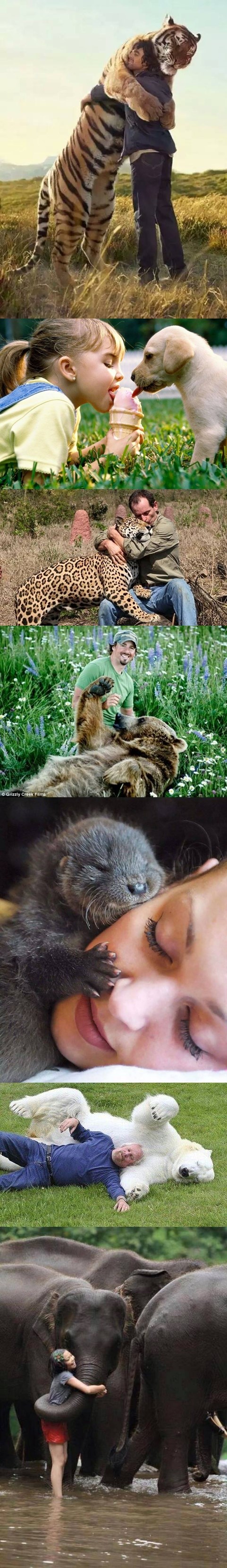 veličina prijateljstva..