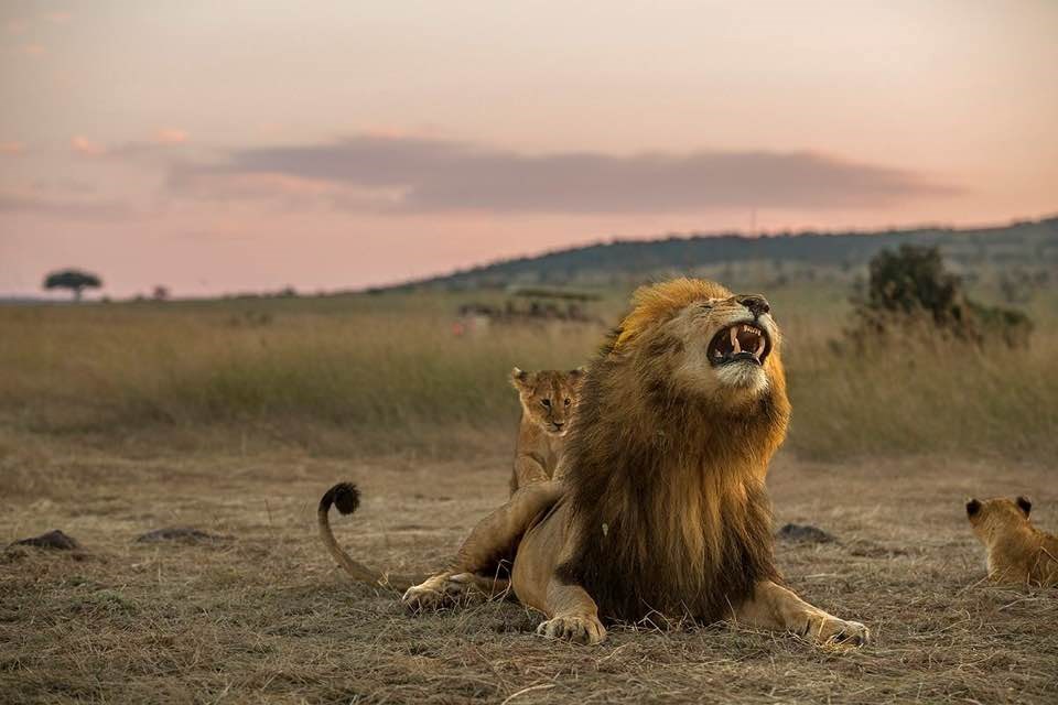 tata..je li tako da nježno masiram..