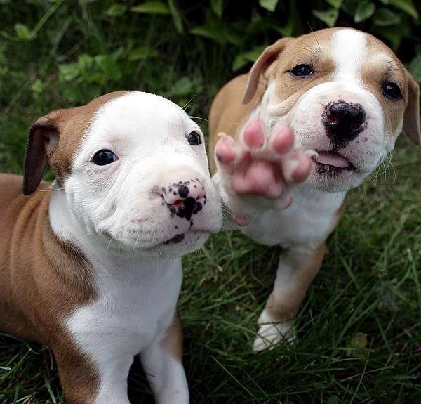 bez slikanja, molim..