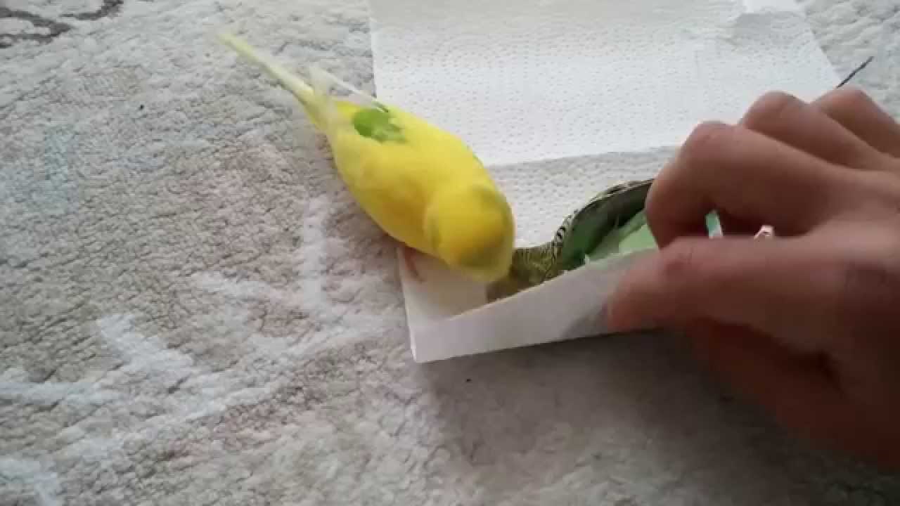 da te srce zaboli od tuge..video