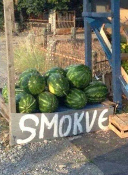 kolike li su im onda tek lubenice..