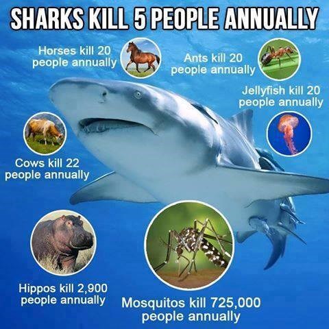 sve je stvar psihe..