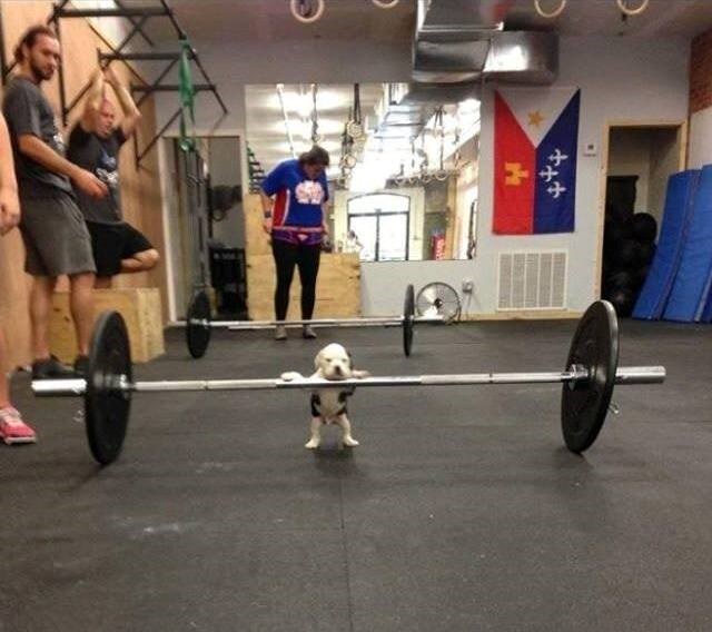 fokus ljudi, ovo ću pokazati samo jedan put